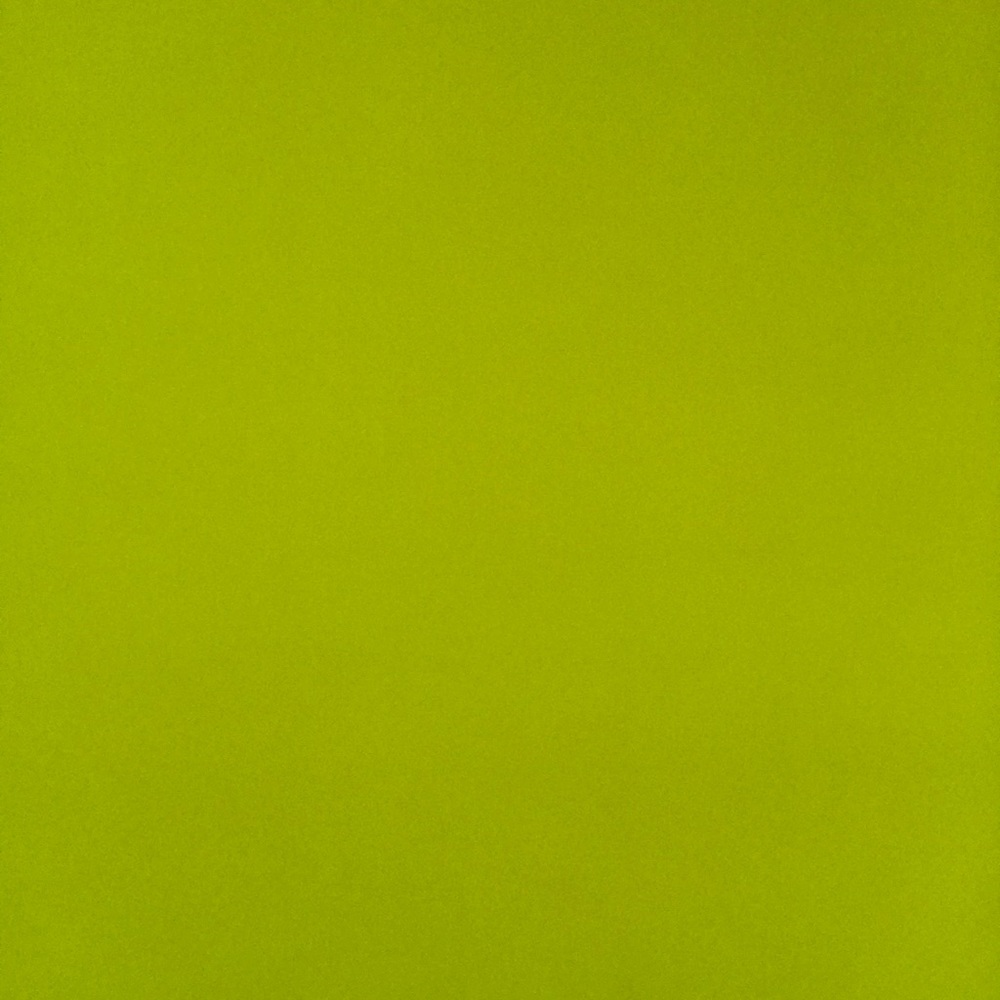 Meet your Posher, Janelle